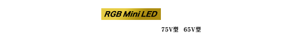 RGB Mini LED液晶レグザ ZX2 SERIES 75V型 65V型 ZX2S