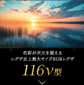 色彩が次元を超える レグザ史上最大サイズRGBレグザ 116v型