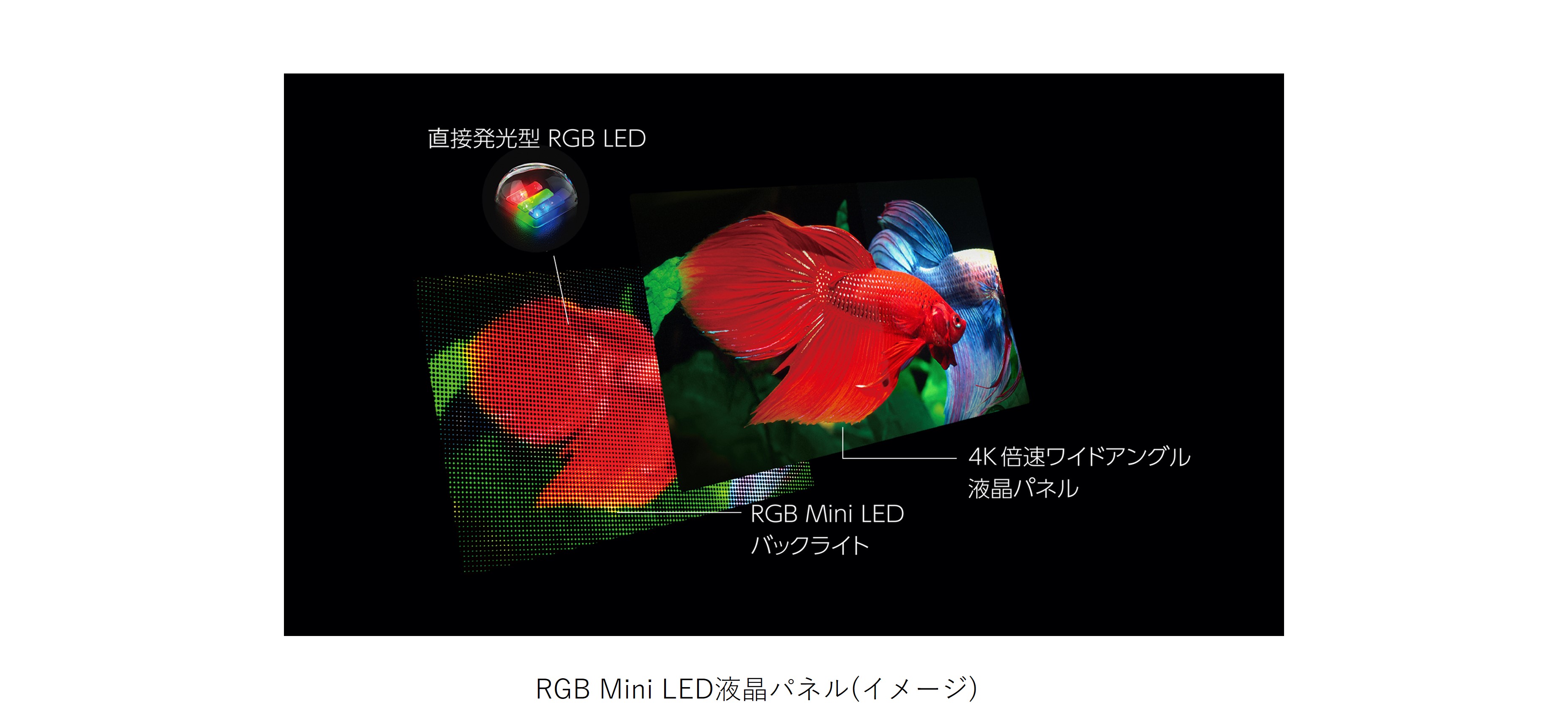 RGB Mini LED液晶パネル